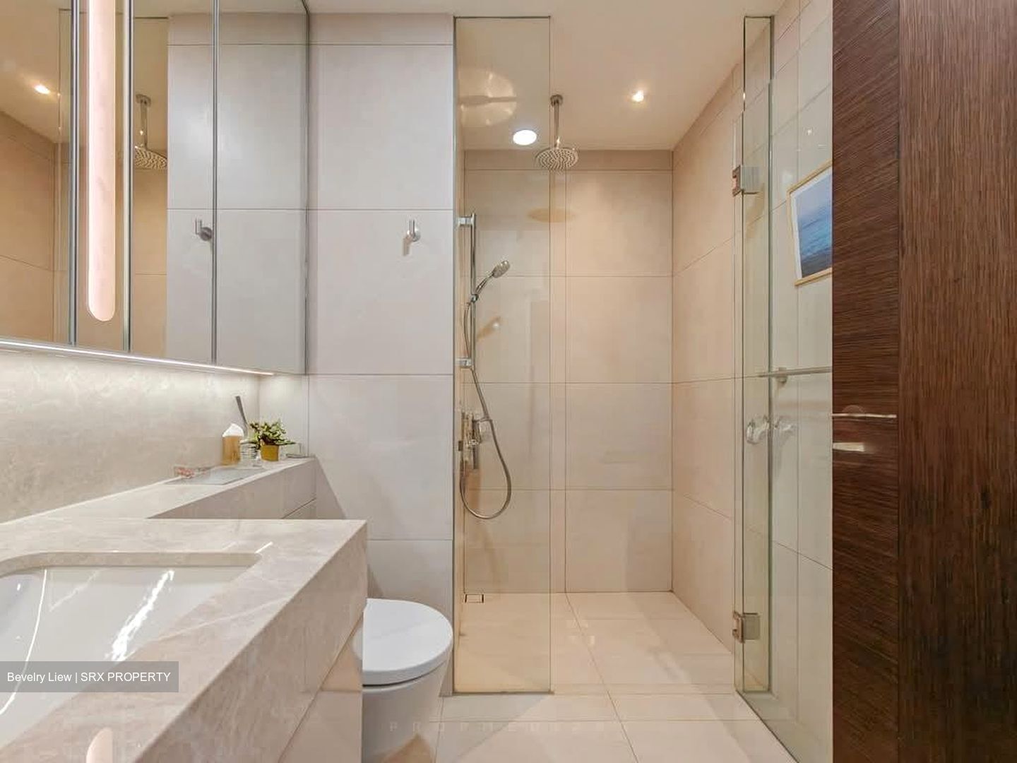 FORETT AT BUKIT TIMAH (D21), Apartment #599138781